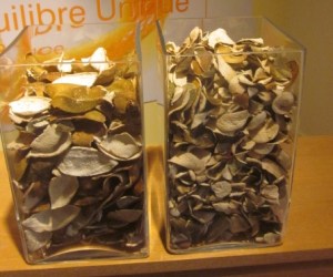 les 2 sortes d'oranges utilisées...