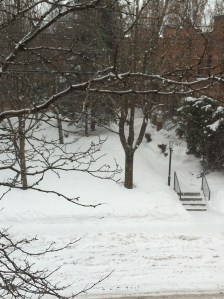 Ah....la neige qui tombe, tombe, tombe !!!!