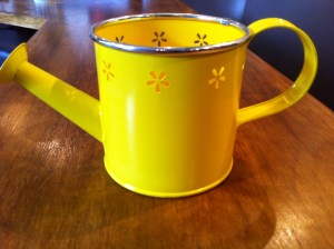 Mon arrosaoir et mon Barbapapa Mix !